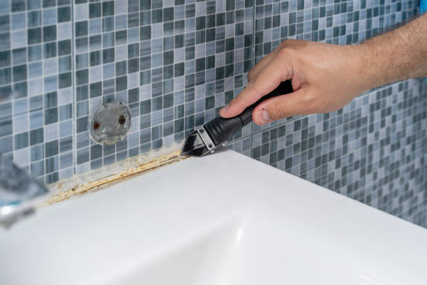 Best Preventive Mold Services in Jackson, MO